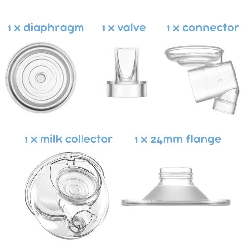 Spare Parts: Charlotte Electric Pump